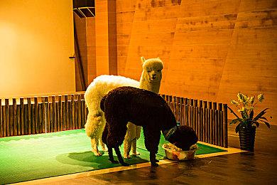 消息称《黑手党4》趋于线性 设定在西西里岛